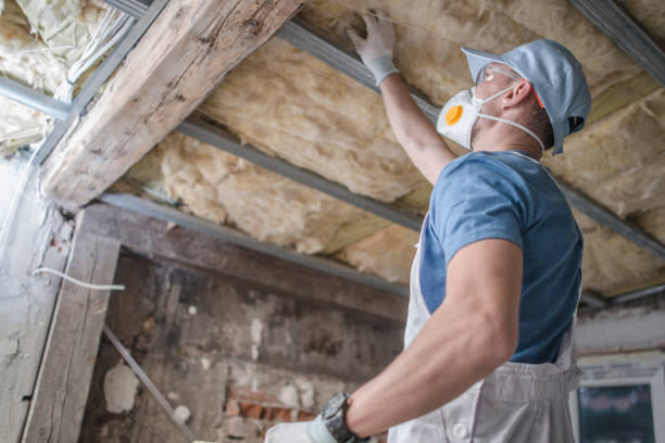 Best Energy Efficiency Insulation in Pine Air, FL